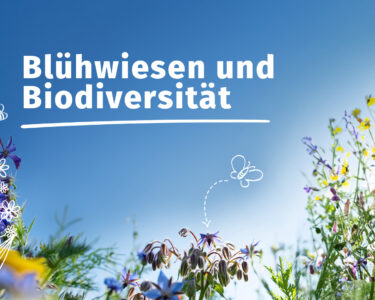 Unsere Initiative zur Unterstützung von Biodiversität und Artenvielfalt Bild